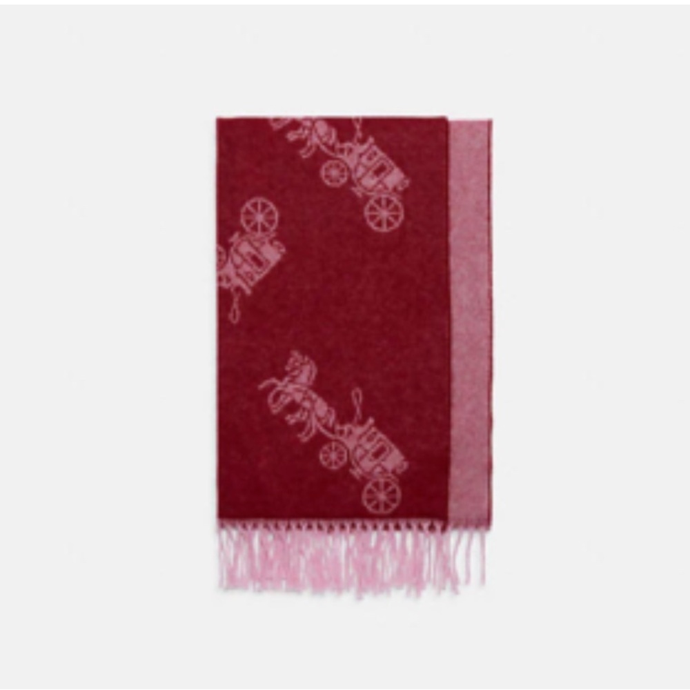 Coach Burgundy and Light Pink Scarf with Fringe
